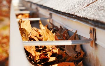 Ruchazie gutter cleaning companies
