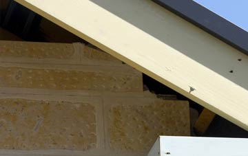 soffit repair Ruchazie