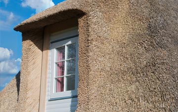 Ruchazie thatch roof disadvantages