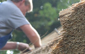 professional Ruchazie thatchers